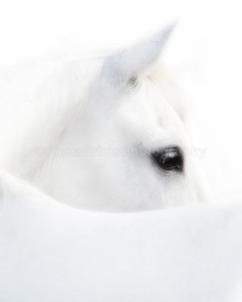 Troon Drive A-2 - Troon Easter Monday Drive 2026