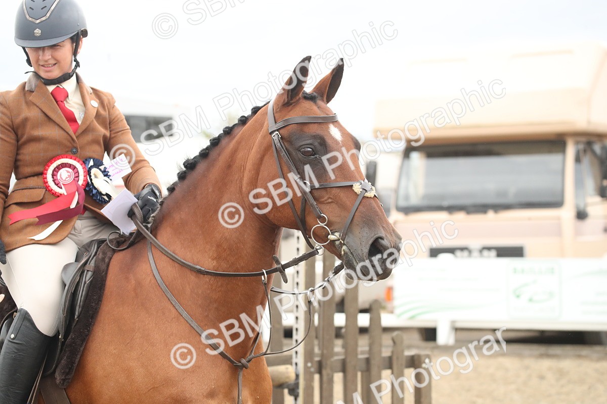 SBM_18509 - Class 510b - Working Veteran 90cm (20+)