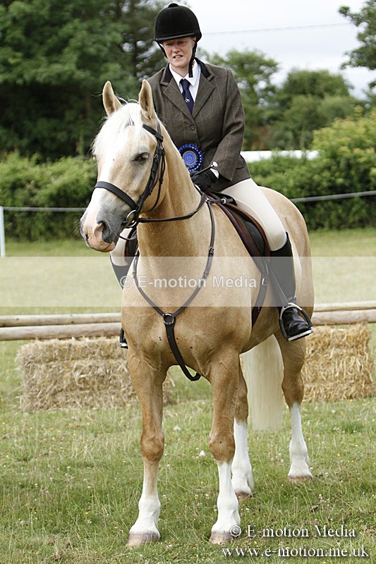 BVR160717-191 - Ring 3 BVRC Show 16/07/17