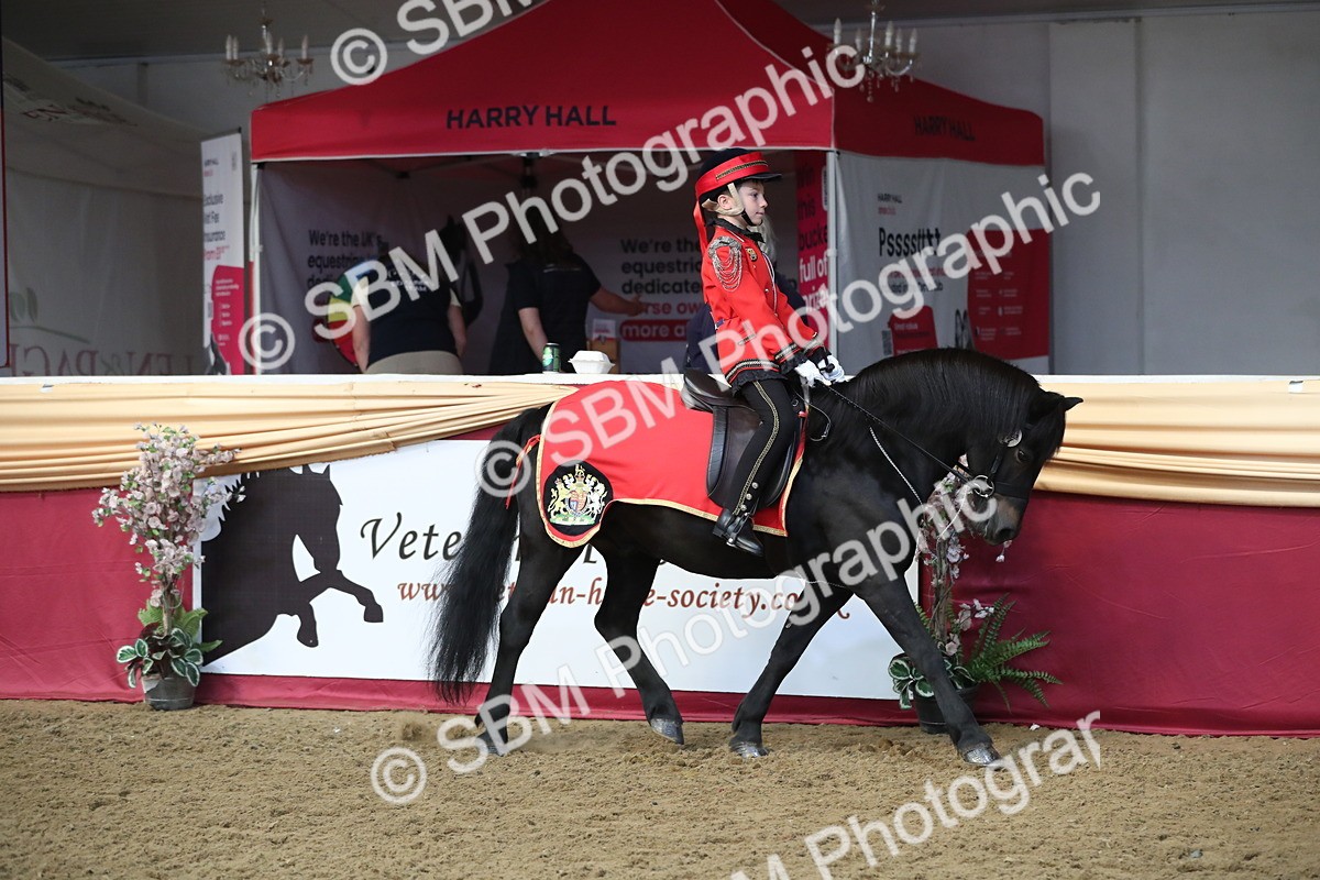 SBM_11249 - Class 104 Ridden Costume - Astride Junior