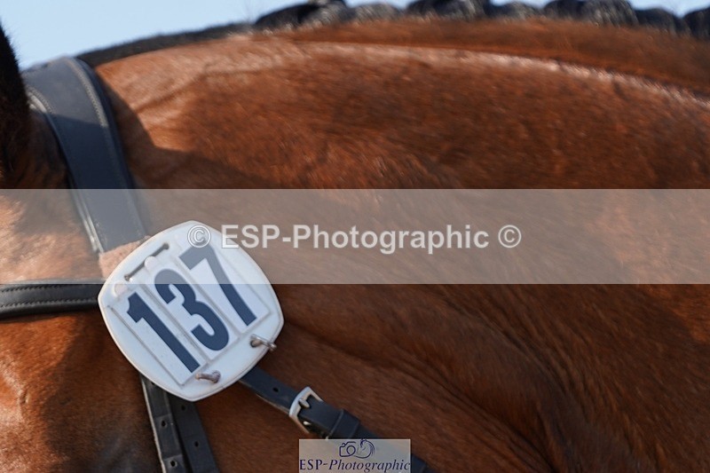 250621-182552-10445 - RoR Cls 7b-8b Elem and Medium