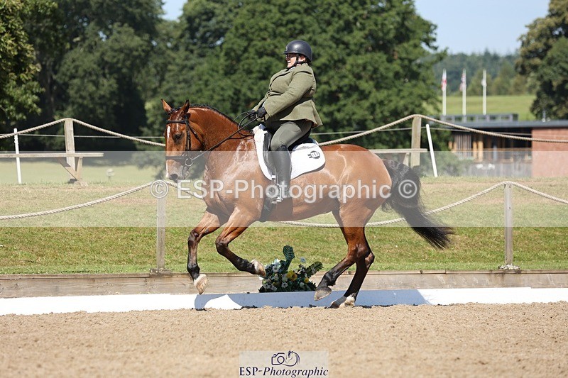 240719-105428-00816 - 169-Marion_Eaves-Indigo_Queen_of_Hearts