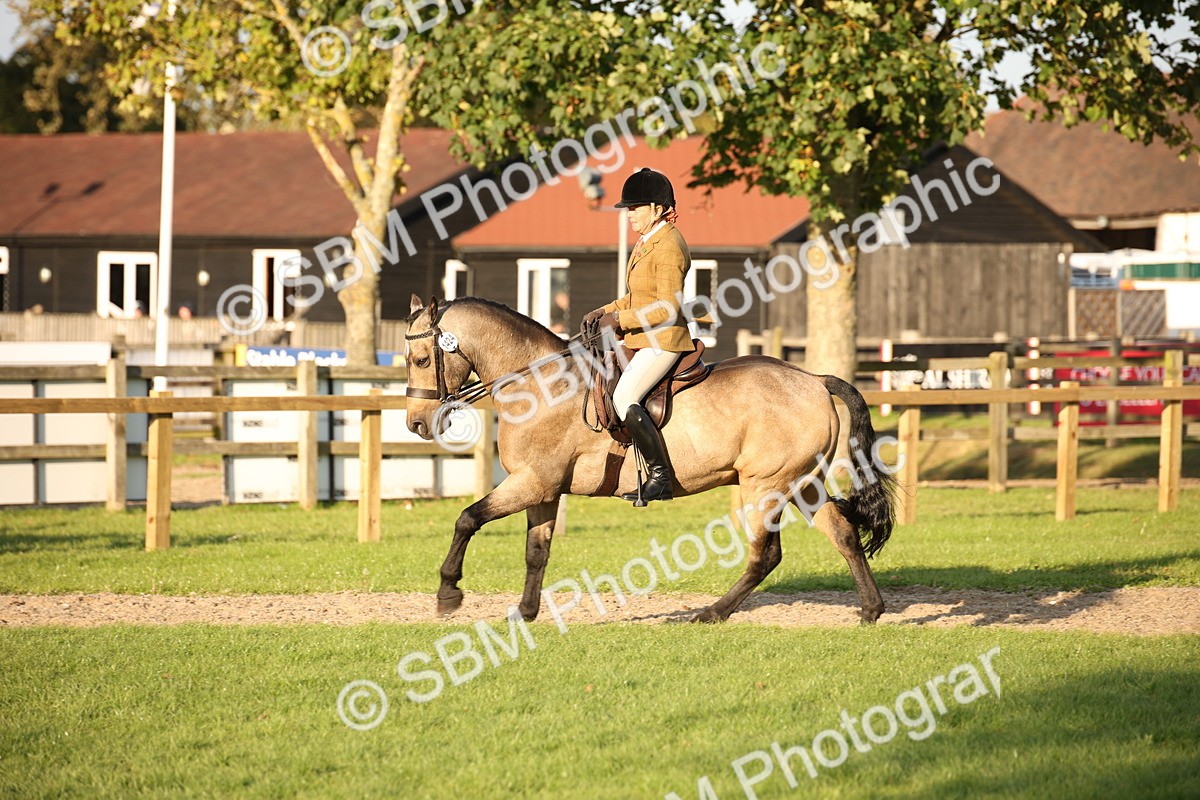 SBM_54445 - S27 - Mature Veteran - Ridden