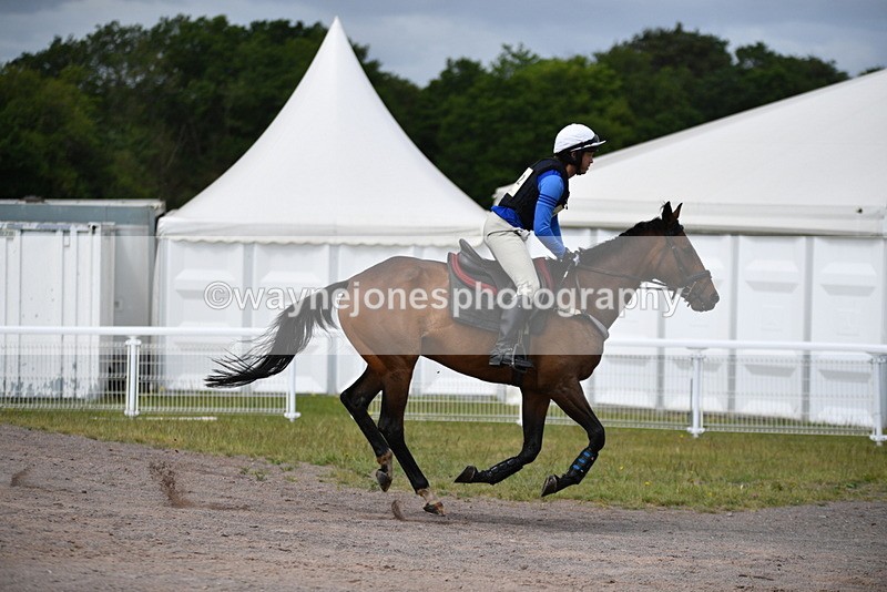 WJ5_6952 - Time 11:18 to 11:27