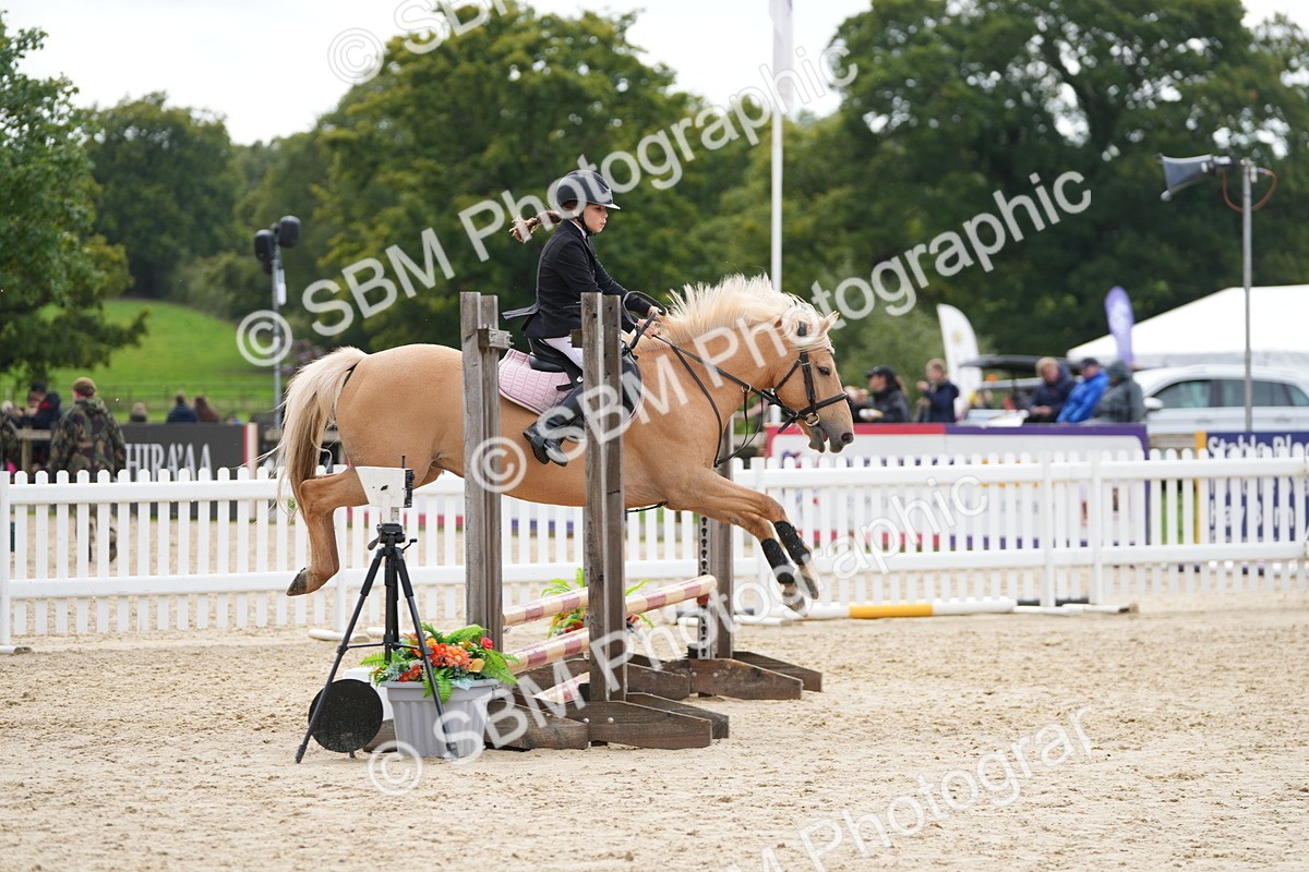 SBM_40030 - J6 - Junior Pony 55cm Championship