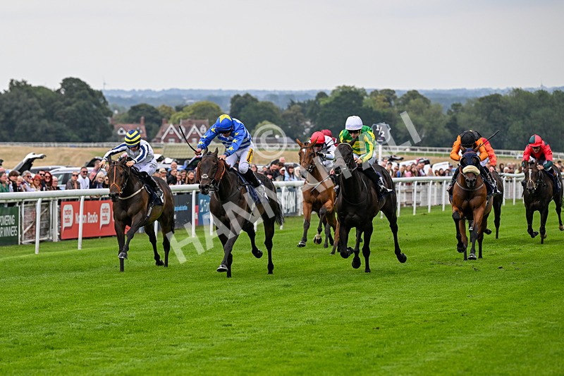 290826-Race 1-Trilby-5239 - Race 1 1.45pm Blink And You Miss It Sprint Handicap