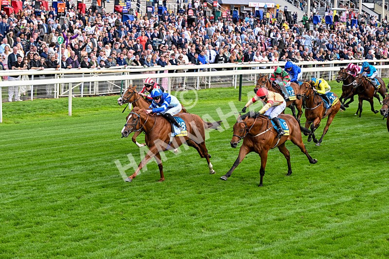 130626-Race 4-Thunder Call-1287 - Race 4 15.35pm Churchill Tyres Supporting Macmillan Sprint Handicap