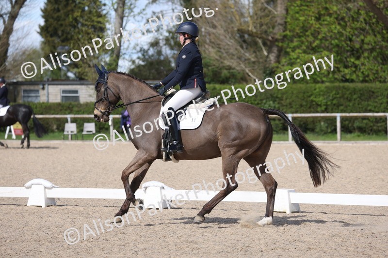 20260405-0499 - Class 5 - Elementary 5