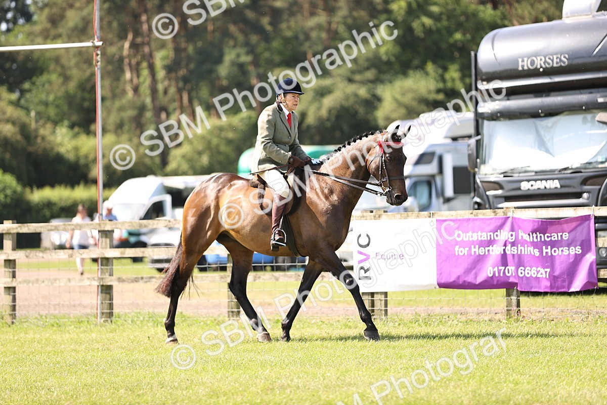 SBM_12972 - Class 75-76 LIHS BSHA Rising Star Hack Riding Horse