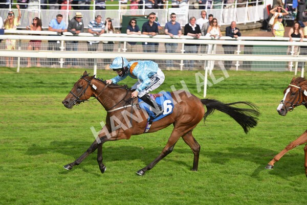 yr09072021r7-22 - Race 7 5.30pm William Hill Extra Place Races Stakes