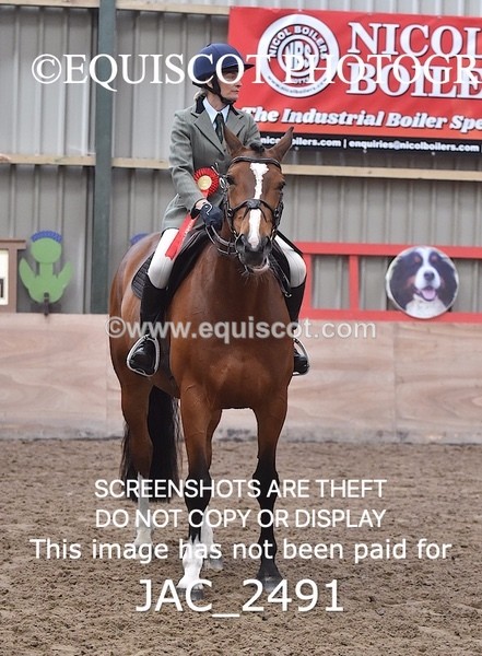 JAC_2491 - CLASS 3 Intermediate Working Hunter