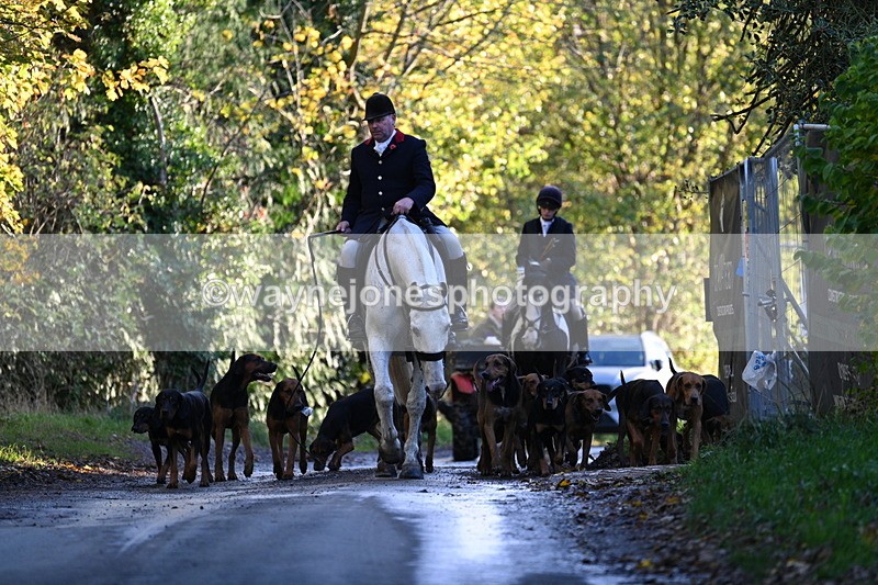 WJ7_8597 - Walk Home