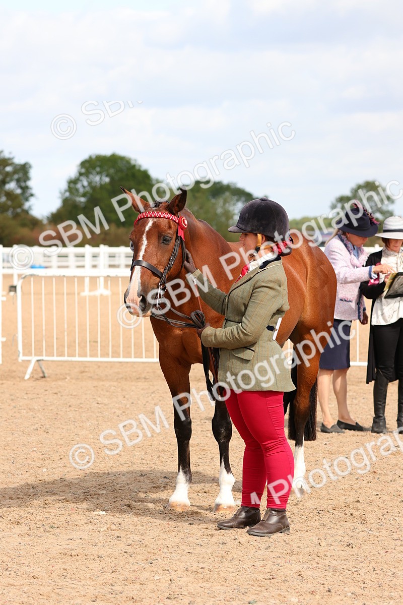 SBM_11754 - Class 208 - IH Veteran Horse