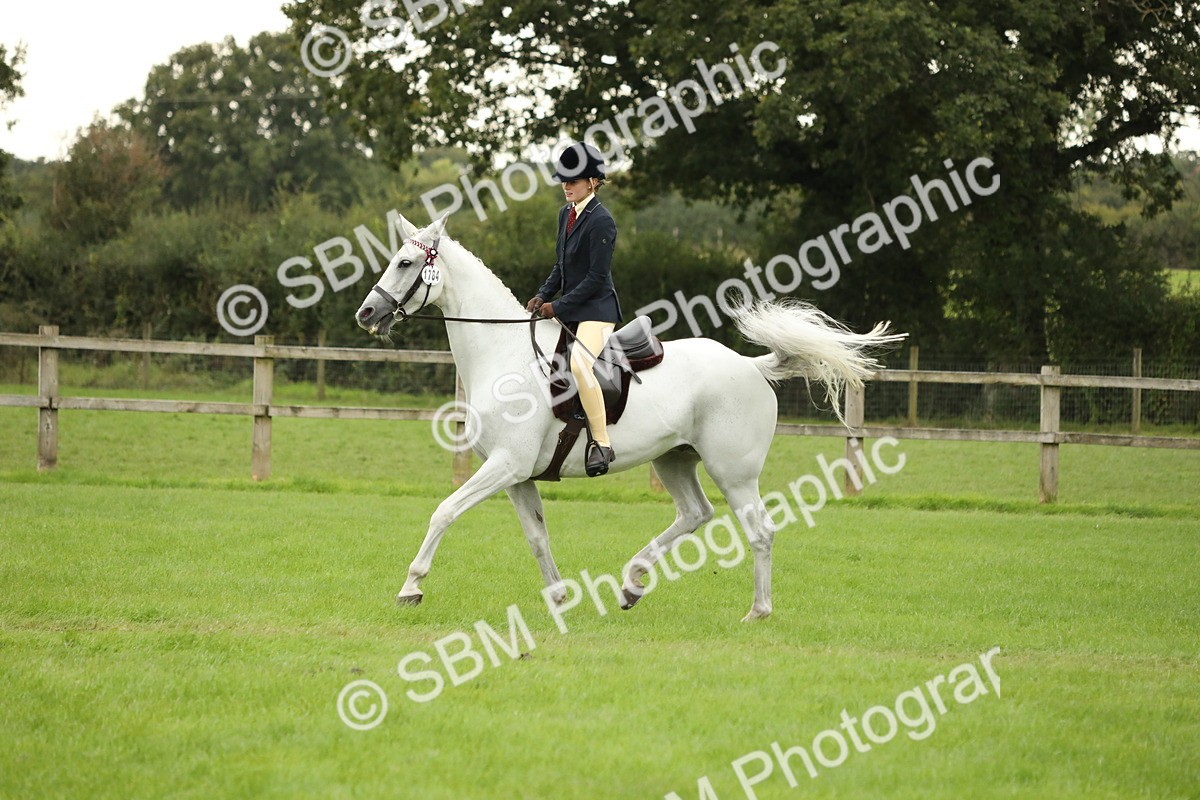 SBM_73769 - S41 - Ridden Equitation (Best Rider)