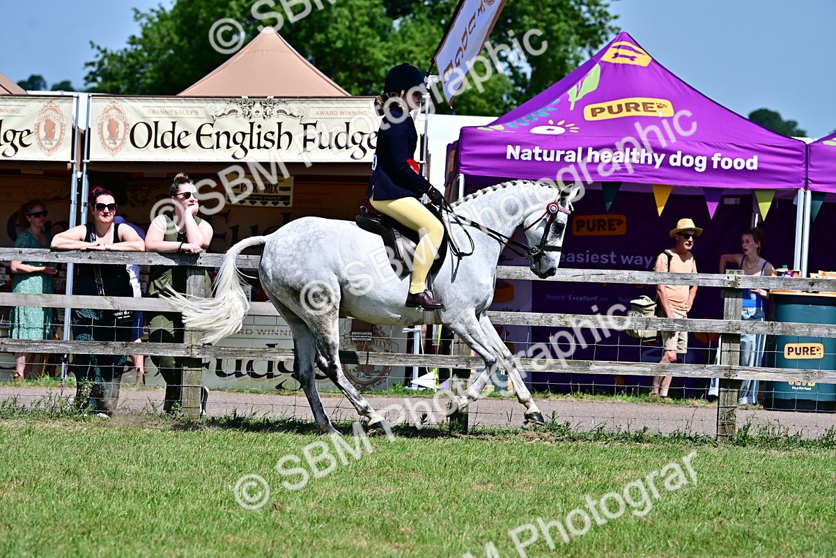 SBM_17547 - Class 95-97 - BSPS LHS Performance Ponies