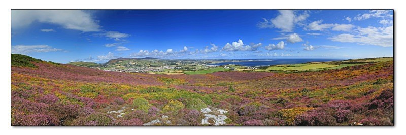 The Beautiful South - Land of Man
