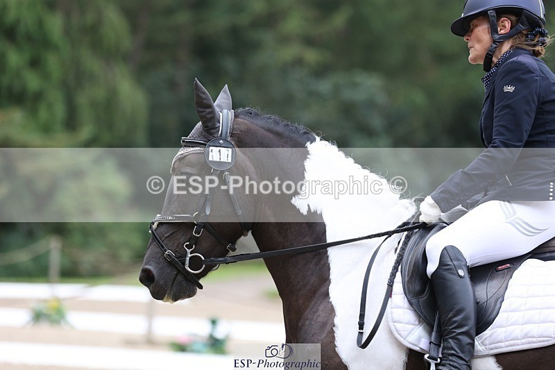 230812-101025-03153 - Cls 5 Novice Bronze Start to 10.55 break