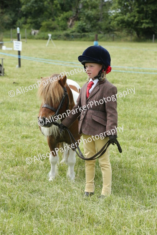 20260614-4268 - Class 18 - Best Junior Handler