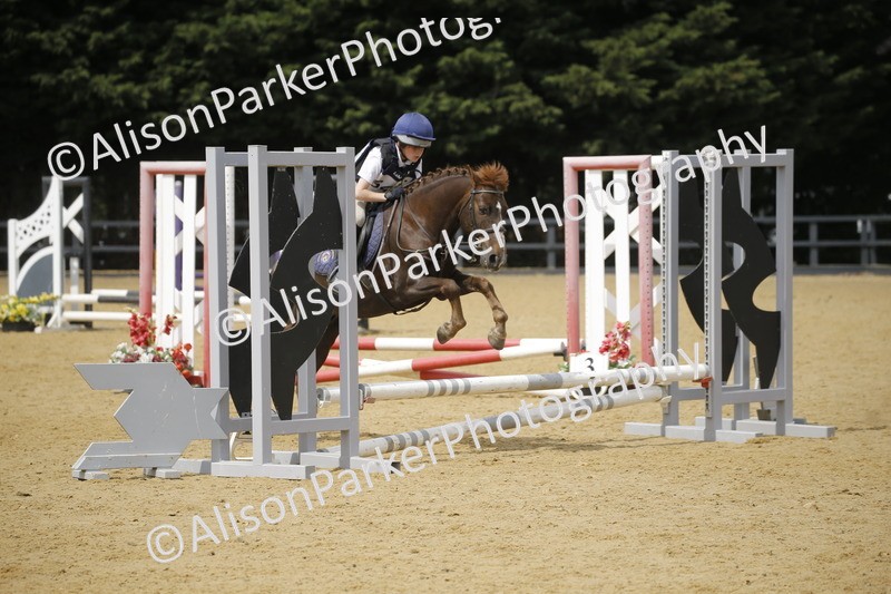 20250622-4101 - 50cm