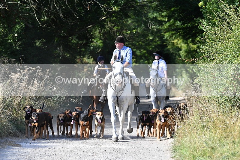 WJ5_4783 - Walk out with the hounds