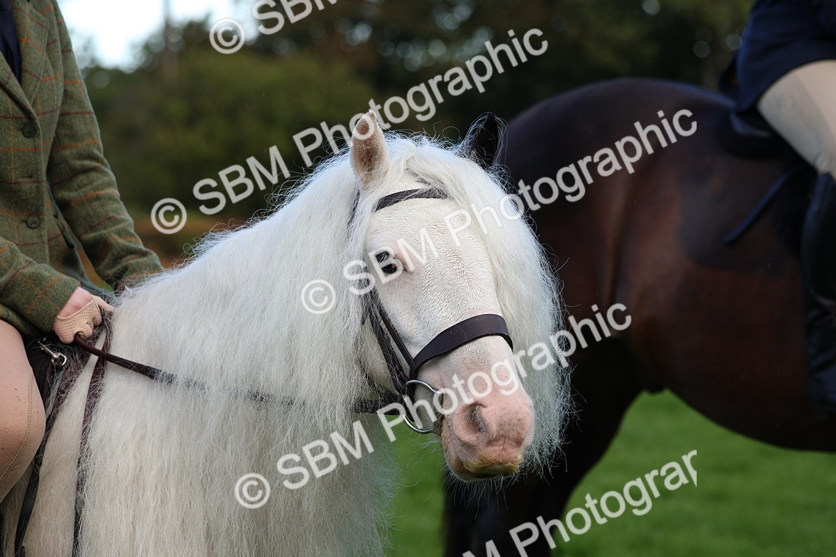SBM_36883 - S11 - Best Ridden Horse & Pony