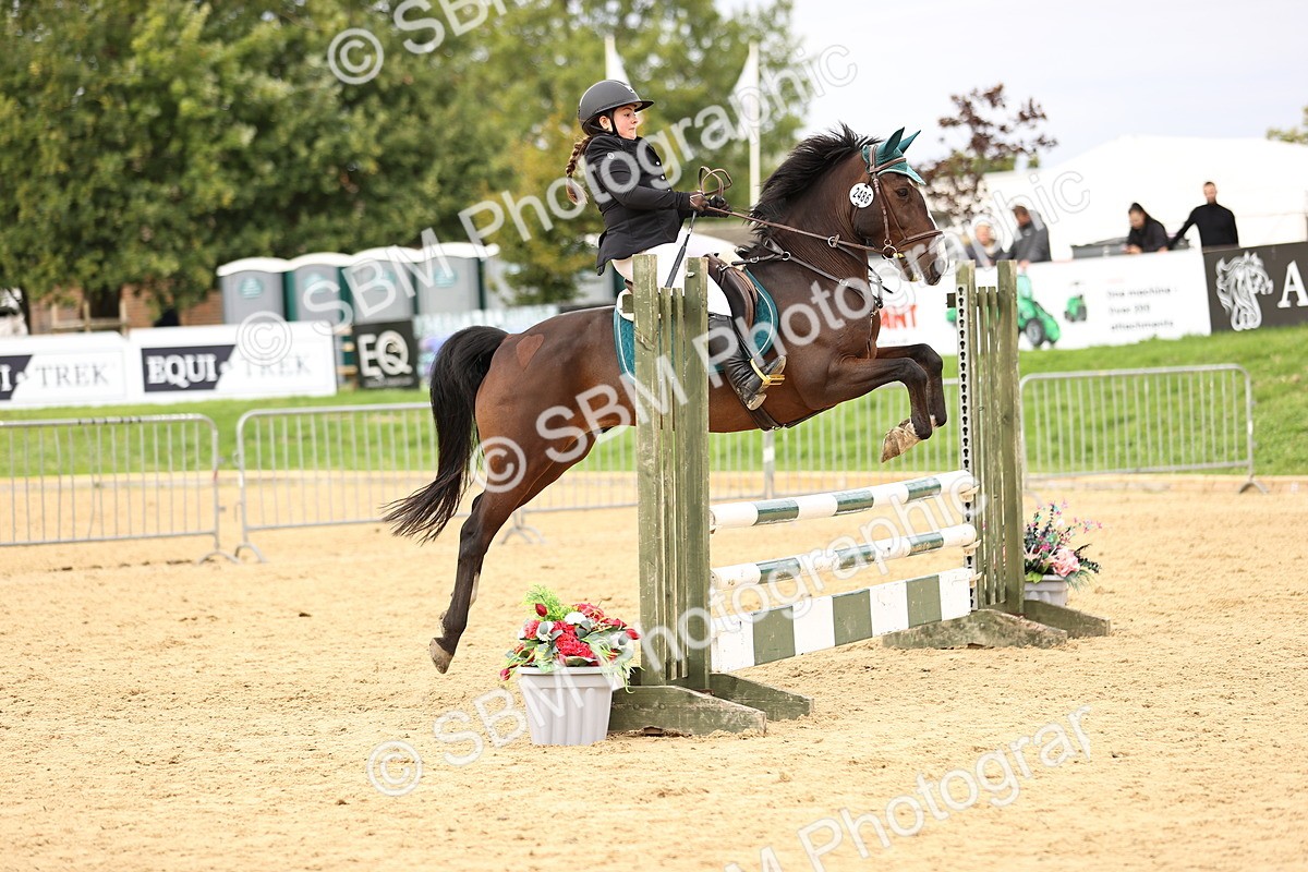 SBM_66632 - J17 - Junior Pony 80cm Championship