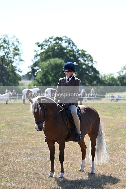 WJ7_3652 - Class 9 Mountain & Moorland Ridden
