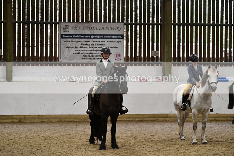 WJ5_8043 - Class 13 Ridden Part Breed