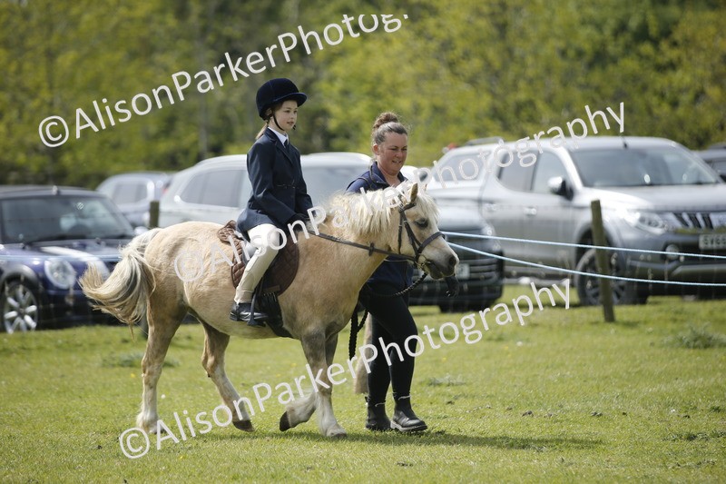 20260426-1862 - Class 7 - Pony Judge Would Most Like To Take Home