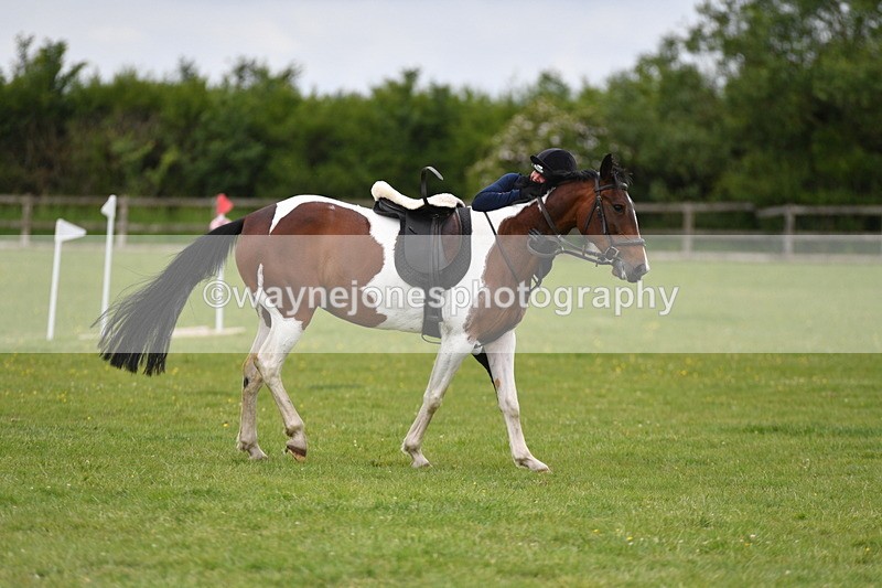 WJ5_3558 - Class 5 80cm Pairs