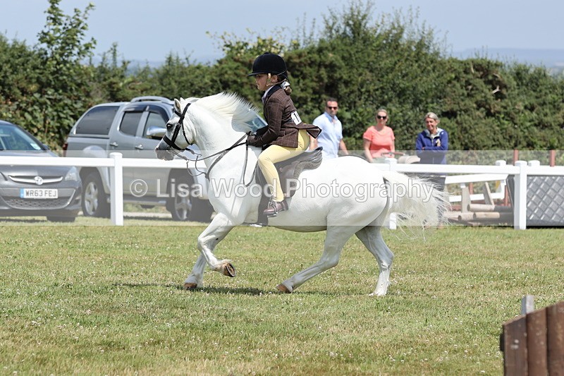 JPP_1866 - Class 18: Tiny Tots Working Hunter Pony
