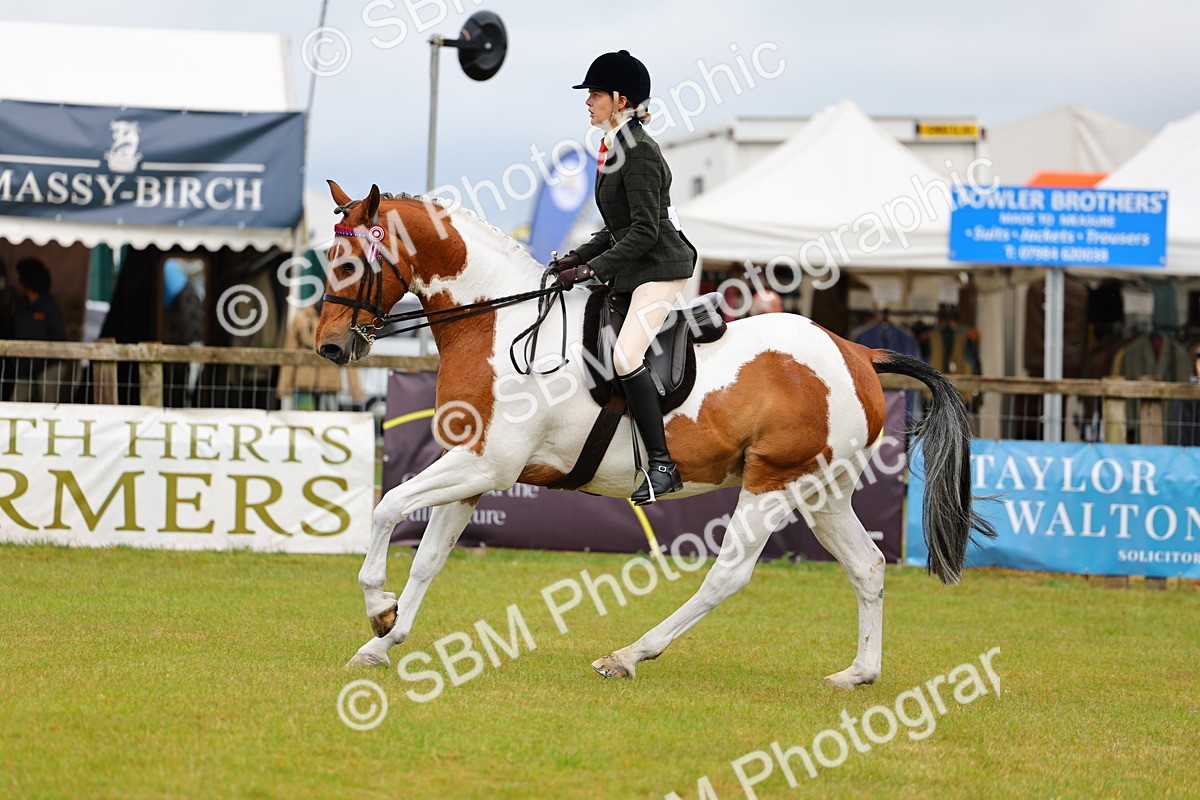 SBM_02533 - Class 9-11 Side Saddle including LIHS Rising Star Ladies Show Horse