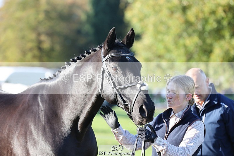 241027-090518-15022 - 417-Abigail.Brittain-CNC.FUTERMA