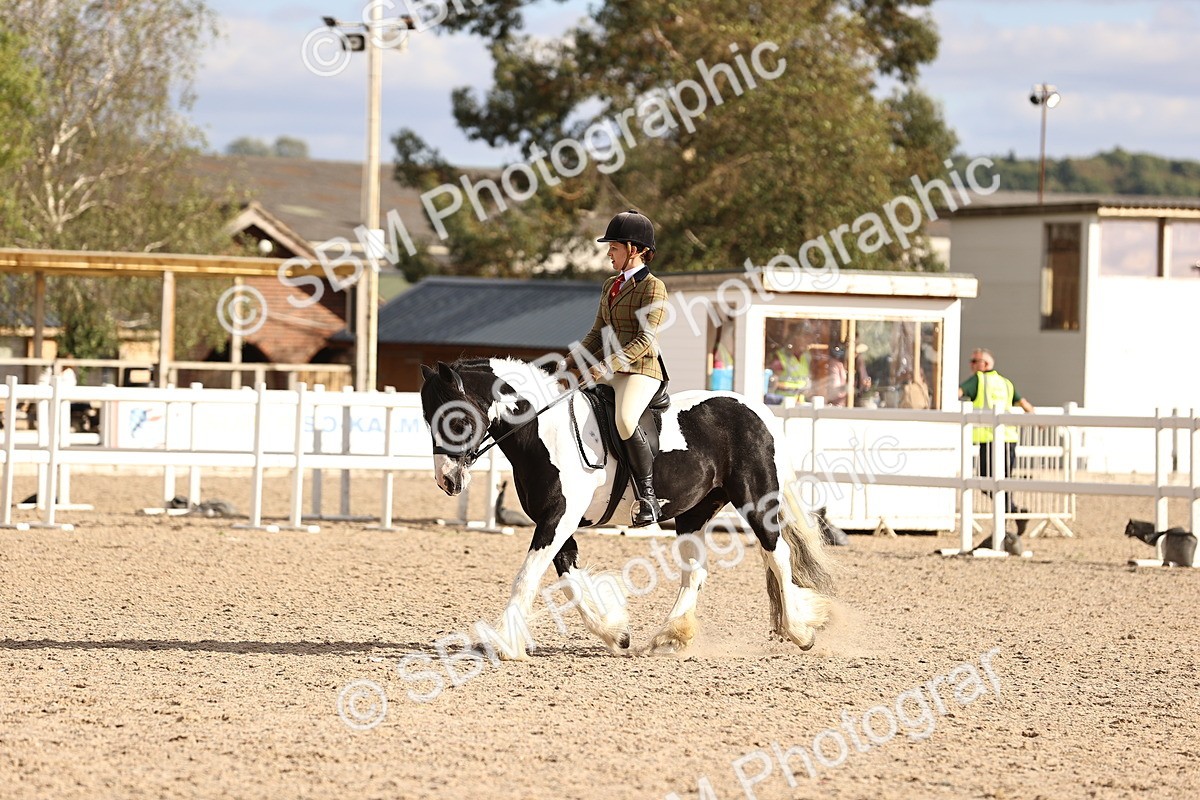 SBM_18251 - Class 423 - Equitation (best rider) Adult