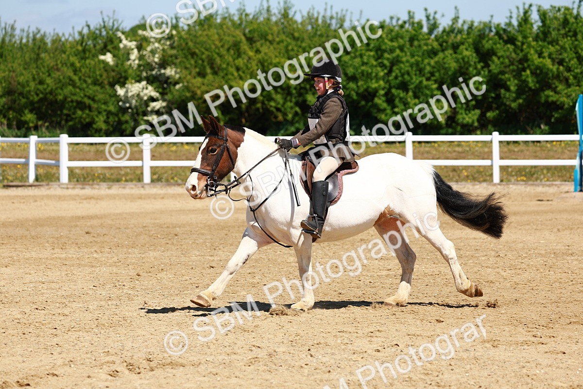 SBM_007261 - Class 3 - 60cm