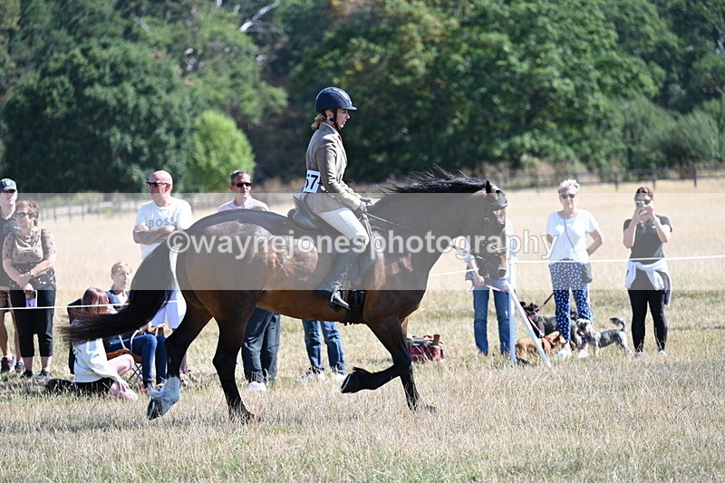 WJ7_3901 - Class 9 Mountain & Moorland Ridden