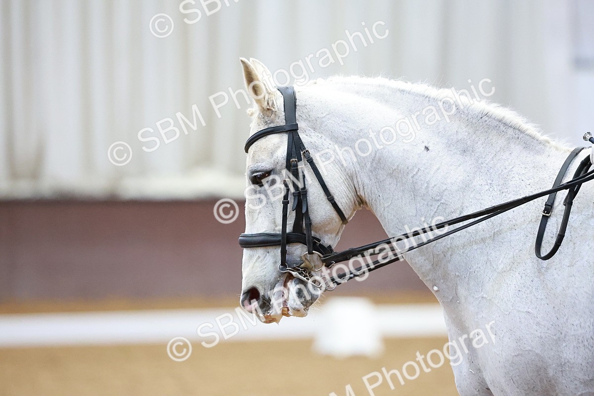 SBM_004501 - Class 17-19- FEI PSG-FEI INT