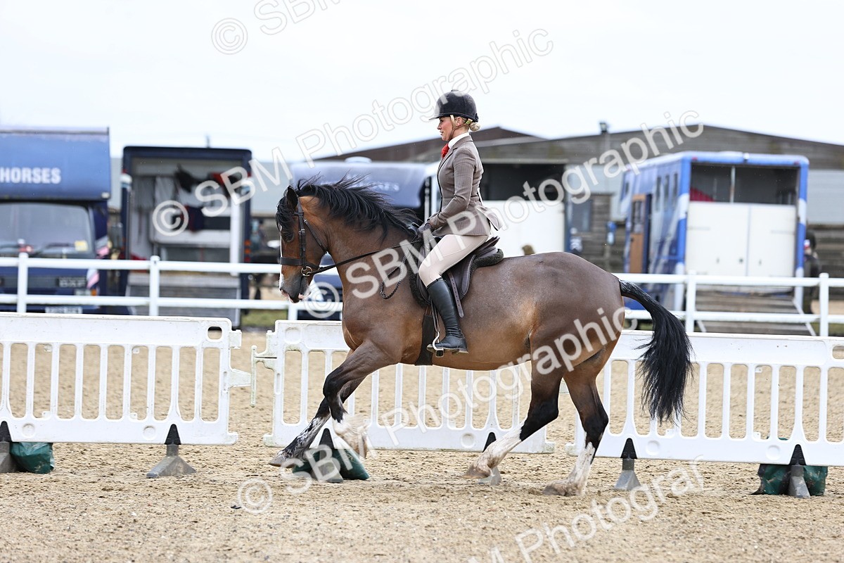 SBM_006966 - Class 29 - 30 - M&M Pure Novice Small-Large Breeds