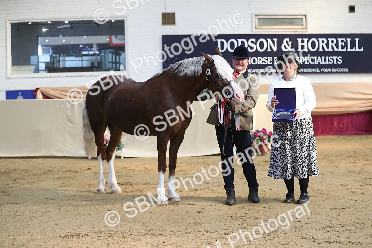 SBM_01396 - Class 3a Area IH Pre Vet
