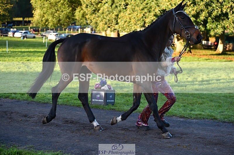 231022-084452-21328 - 670-SEEK.INDI-Maia.Ramasamy-TrotUp+SJ