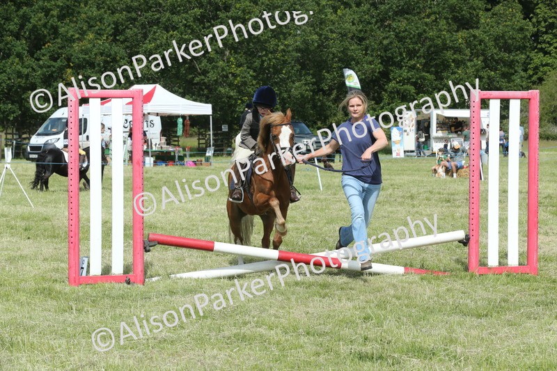 20260614-0279 - Class 1 - 30cm Lead Rein