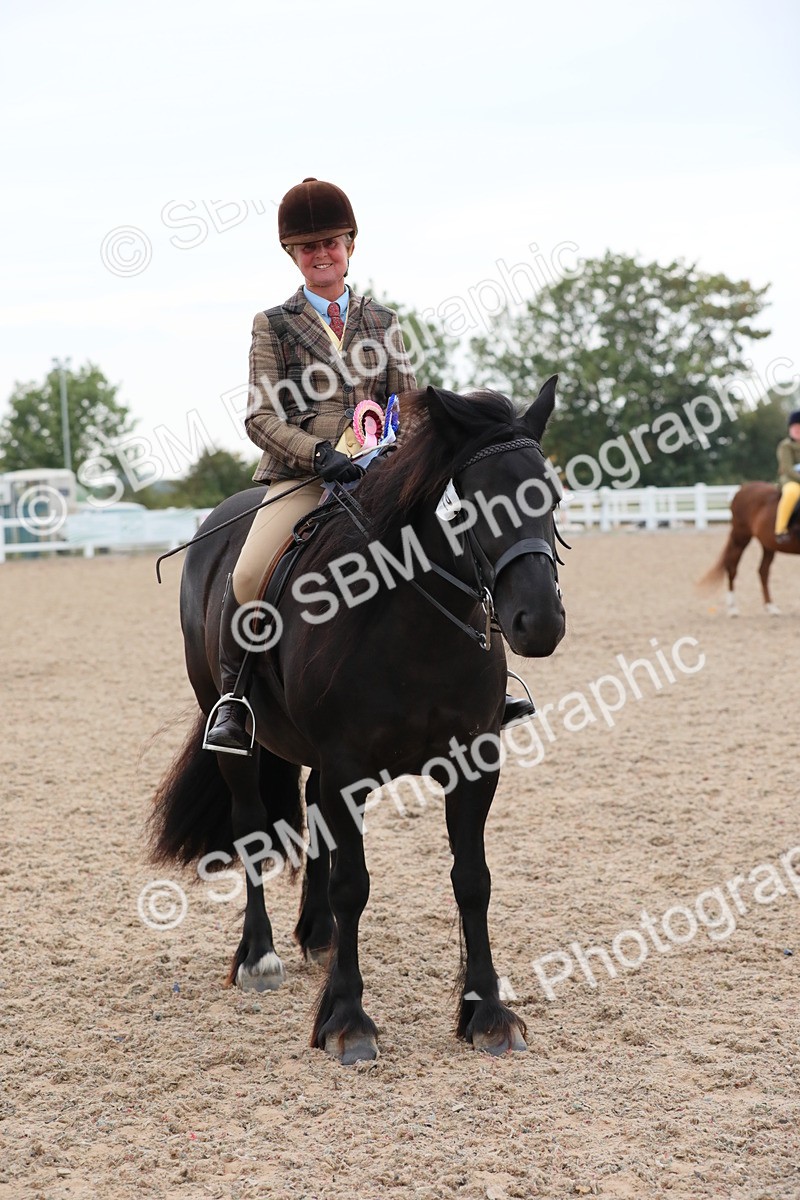 SBM_18255 - Class 316 Best Pony/Rider Combination