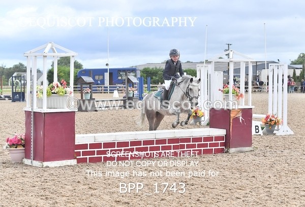 BPP_1743 - DERBY CLASS 4 - 50CM