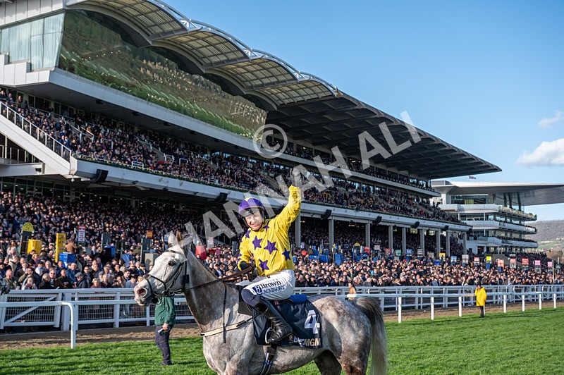 110326-Race 5-Il Etait Temps-9167 - 11th March