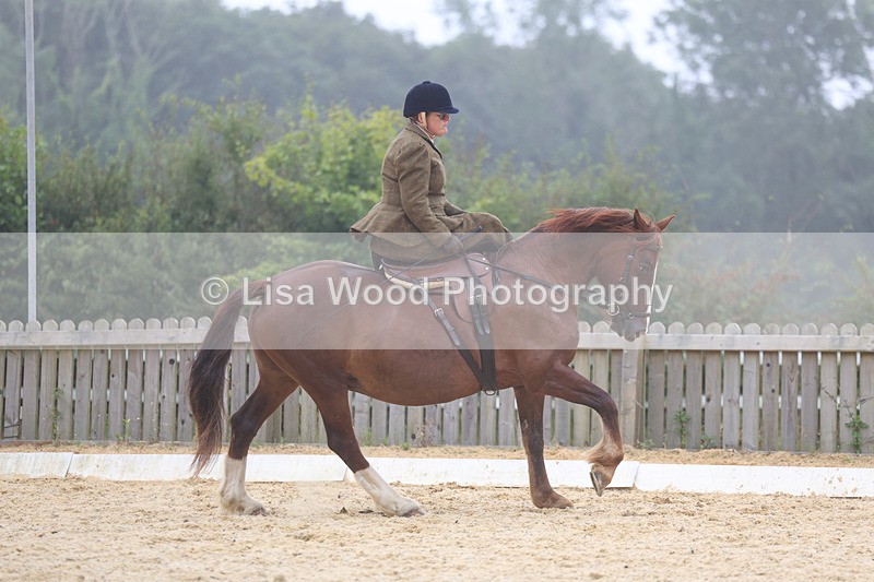 3E7A6875 - Class 5: Prelim to Music