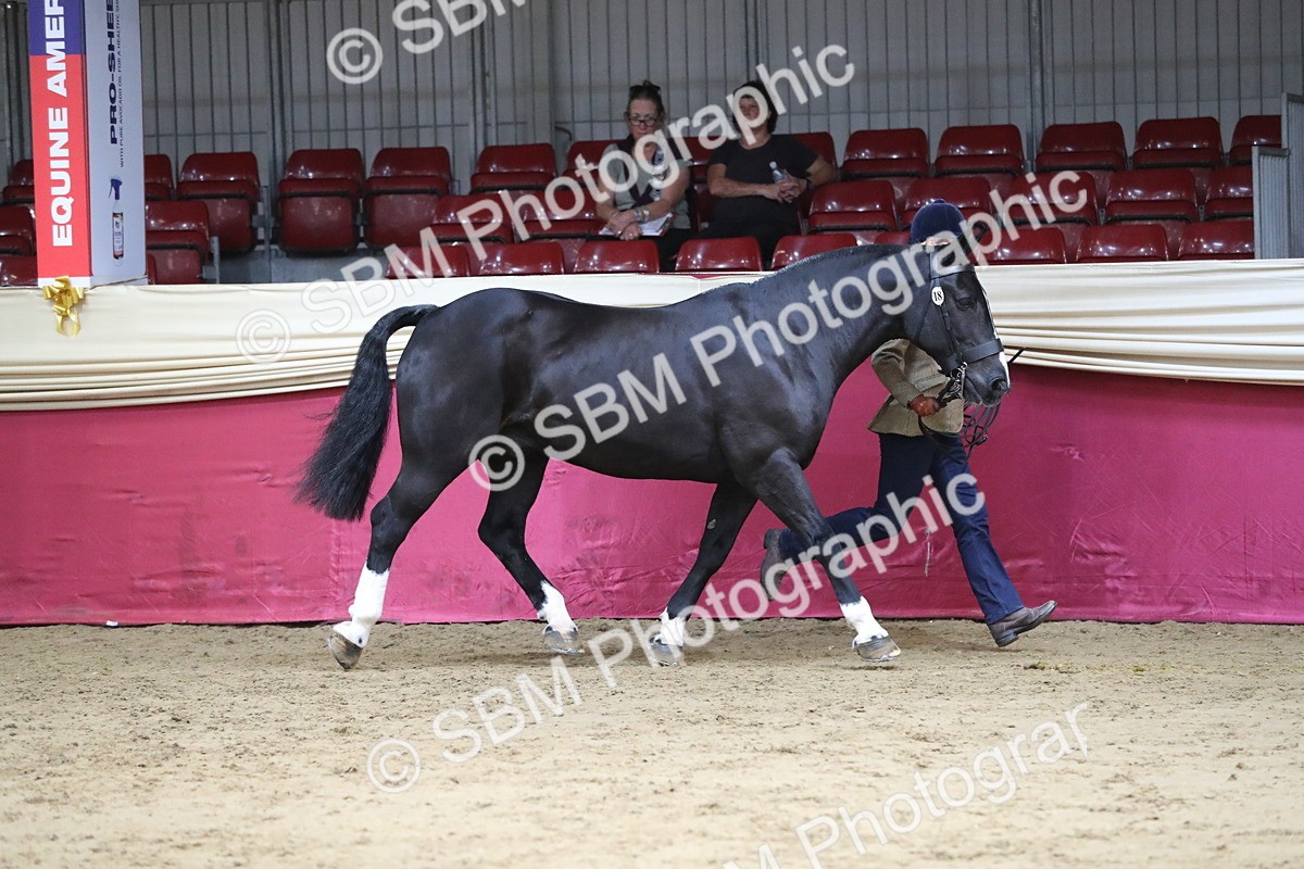 SBM_06324 - Class 9R Regional- IH Pre Vet