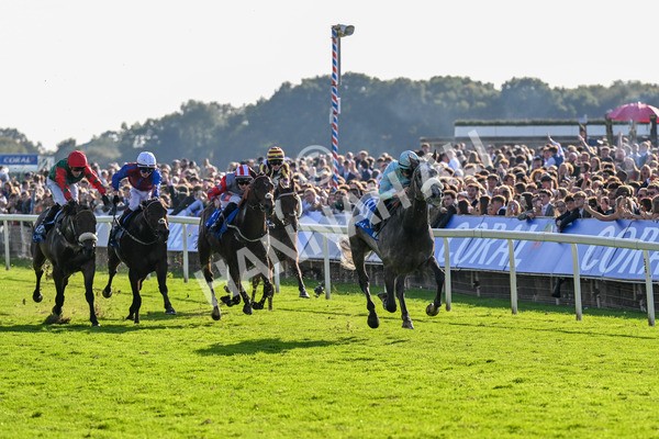 111025-Race 4-Binhareer-0450 - Race 4 Coral Sprint Trophy Handicap at York