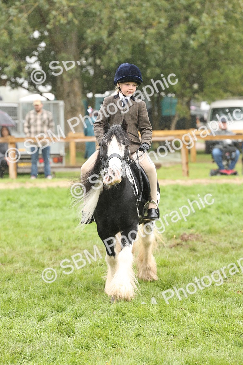 SBM_72820 - S70 - Traditional Cob Ridden