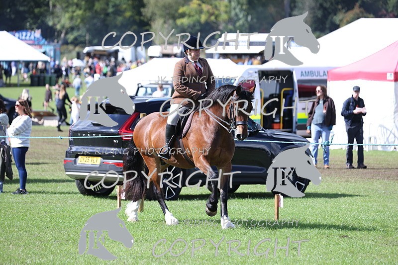 APP_3508 - Class 12 M&M ridden