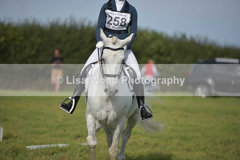 RAY_7673 - Class 2B: Trekenning Open: Dressage